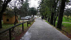 TSF Cortes de la Frontera (29 y 30-01-11)